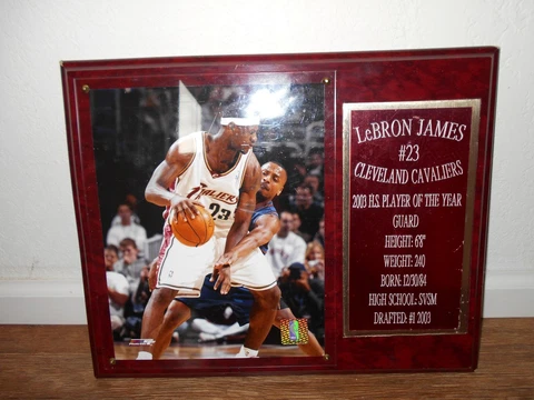 Lebron James Wooden 15 X 12 3/8 Hanging Plaques Cover