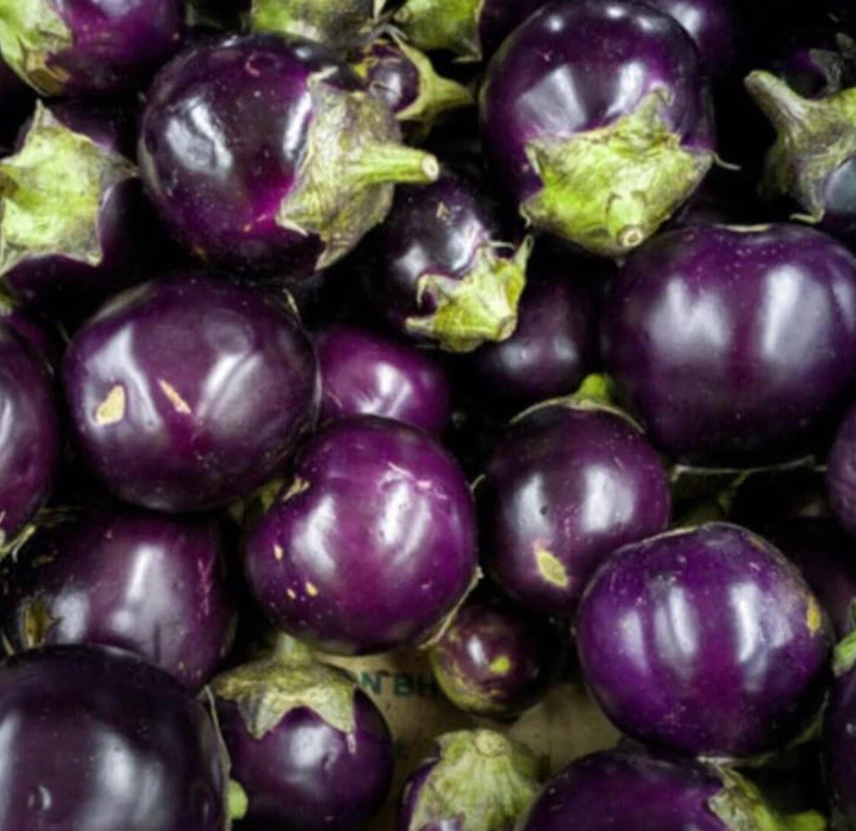 50+ SEED-Round Purple Eggplant Thai / Indian Heirloom Buy2Get2Free(add2incart) - Image 1 of 1