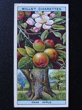 No.4 CRAB or WILD APPLE Flowering Trees & Shrubs by W.D.& H.O.Wills Ltd 1924