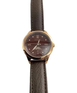 CITIZEN EE1002-01W Wrist watch XC Eco Drive Brown Super Titanium Women Japan - Picture 1 of 6