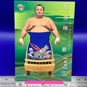 Kotoyuki Kazuyoshi 33 Sumo Wrestler Trading Card BBM 2018 TCG Japanese #289a