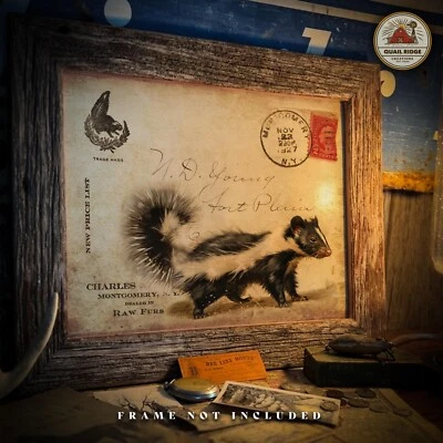 Vintage Skunk Fur Trapping Catalog Art Print Hunting Cabin Decor Trapper Gift - Image 1 of 4