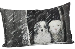 Proflax Twix Kissenbezug Kissenhülle Weihnachten Bobtail 30x50cm 100% Baumwolle - Bild 1 von 1