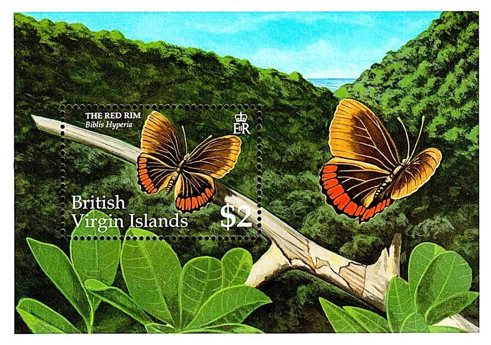 👉 VIRGIN 是。 1991 BUTTERFLIES S/S SC#720 mnh INSECTS 💲免费送货💲 — 第 1/1 张图片