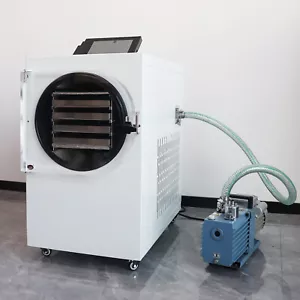 -60℃ 0.46㎡ Vacuum Freeze Dryer Lyophilizer For Food Fruit Candy Fish Egg Milk - Picture 1 of 16
