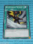 Blustering Winds YS11-EN021 Common Yu-Gi-Oh Card  1st Edition New