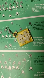 College Football Notre Dame Glow in the Dark Keychain - Picture 1 of 2