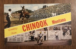Grüße aus Chinook, Montana. Postkarte (WP7) - Bild 1 von 2