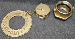 3" FNPT x 2 1/2" NST Feuerwehr Autoanschluss (FDC) mit Wandplatte Stecker & Drehgelenk - Bild 1 von 11