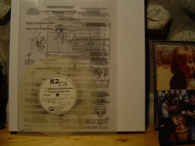 K2 Tumorartige Veranderungen Der Prostata 7"/1997 Japan/Harsh Electro-Junk Noise - Image 1 of 2