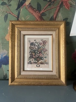 "Impresión botánica de abril de colección de Robert Furber doce meses de flores 17,5""x15,5""" Foto 1 de 4