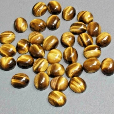 Wholesale Lot of 12x10mm Oval Cabochon Natural Tiger's Eye Loose Calibrated Gems - Image 1 of 3