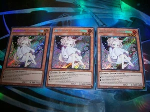 3x Ash Blossom 1st Edition Secret Rare RA04-EN025 Yu-Gi-Oh! - Picture 1 of 1