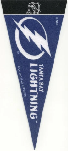 TAMPA BAY LIGHTNING MINI NHL FELT PENNANT 9" LONG OFFICIALLY LICENSED HOCKEY Cover