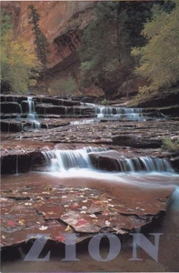 Virgin River - Great West Canyon - Zion Nationalpark, Utah - Bild 1 von 2