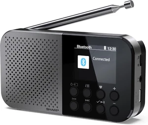 DR-P520(GY) Osaka - Radio Digitale Portatile Tascabile Con Bluetooth 5.3, Lettor - Foto 1 di 12