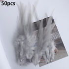 50pc Natural Feathers DIY Craft Turkey Rooster Feather Colored Chicken Wholesale