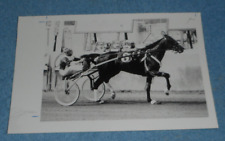 Vintage Harness Racing Press Photo Horse "Summit Hill"