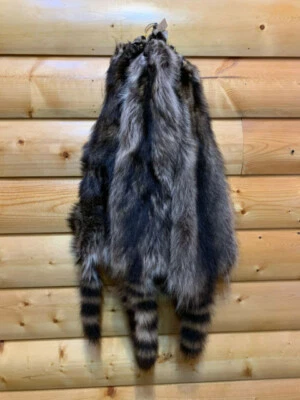 Raccoon Fur, Tanned Pelt, I-II Quality, LG-XXXL Sizes, Crafts, Leather, Sewing - Image 1 of 3