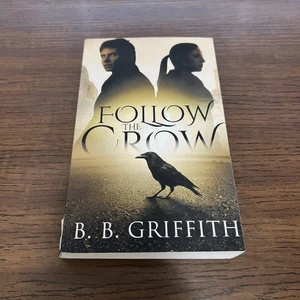 Follow the Crow (Verschwunden, #1) von B. B. Griffith (2014, Trade Paperback) - Bild 1 von 7