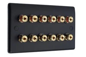 Altavoz AV 6.0 Audio Pared Placa Facial Negro Mate 12 Postes De Encuadernación Sin Soldar - Imagen 1 de 6