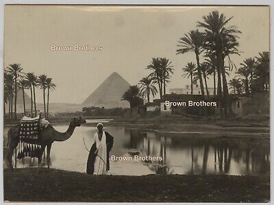 Vintage 1910 Historic Egypt Kaphra Village & Sailboats Nile Mounted Photos #3 (2 • 19.97$
