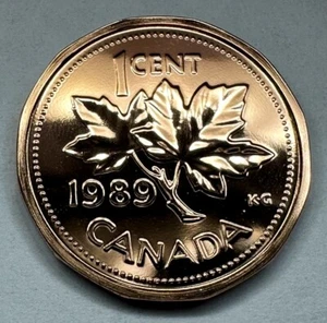 1989 Canadian Penny Proof-Like 1Cent Coin Uncirculated Directly from Set - Picture 1 of 9