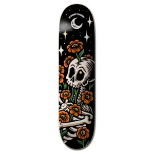 Tavola da Skateboard Element Deck X Timber Late Bygone 8.5'' + Grip - Imagen 1 de 1