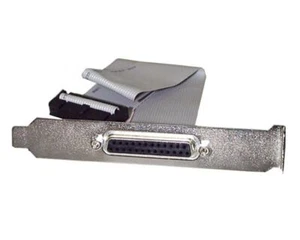 StarTech PLATE25F16 16 pulgadas DB25 paralelo hembra a IDC 25 pines cabezal ranura placa - Imagen 1 de 1