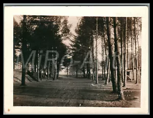 Foto, WK1, Inf.Rgt.167, die Zufahrtstraße zur Waldstellung; L189L - Bild 1 von 2
