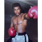 Muhammad Ali - action photo - colour - 8" x 12"