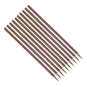 Chinese Calligraphy Brush 10 Pcs Traditional Writing Watercolor Brush Ink Pen... - Picture 1 of 6