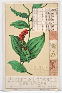 Bugbee & Brownell Spezie Pure "Pianta di Pepe" Maggio 1886 Calendario Trade Card - Foto 1 di 2