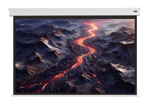 celexon Batterie Leinwand V2.0 Motor Professional Plus 160 x 120cm ( - Bild 1 von 4