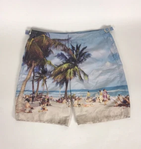 ORLEBAR BROWN DANE II blau MIAM Strand fotografisch Badeshorts Herren Größe 30 - Bild 1 von 9
