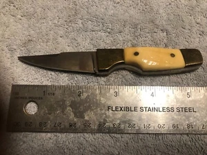 Silver Stag Antler Handle Knife. Fixed Blade. Custom Made in the USA. - Picture 1 of 6