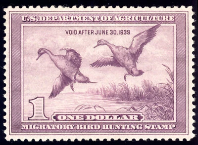 US RW5 $1 Hunting Permit Stamp 1938 Pintail Drake & Hen Alighting VF unused OG H - Image 1 of 2