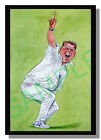 Framed caricature of Darren Gough by John Ireland free p&p UK