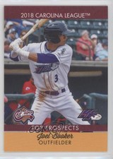 2018 Choice Carolina League Top Prospects Joel Booker #25