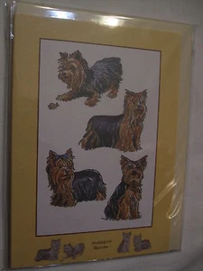 CARTE + ENVELOPPE - chien   YORKSHIRE - Picture 1 of 1