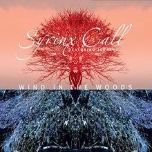 Wind In The Woods von Syrinx Call | CD | Zustand sehr gut - Image 1 of 2