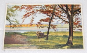 alte Ansichtakarte Schweden schwedische Landschaft Farb Lithographie AK 1931 - Bild 1 von 2