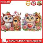 5D DIY Partial Special Shaped Drill Diamond Painting Kit Rose Owl House 30x30cm