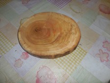 Fetta di tronco in legno di pioppo 30 x 24 x 4