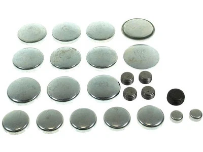 Kit de enchufe de expansión para Dodge B100 1975-1980 57977CPNW 1976 1977 1978 1979 Foto 1 de 2