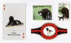 LARGE MUNSTERLANDER DOG COLLECTABLE PLAYING  CARD, STAMPS & BAND - Picture 1 of 1
