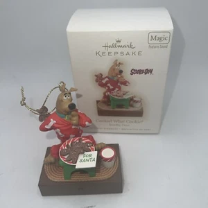 Scooby-Doo Cookie? Welcher Keks? 2009 Hallmark Andenken Magic Ornament - Bild 1 von 5