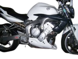 DESIGN ECOPES | FZ 1 N (2006/2015) roh - Bild 1 von 2
