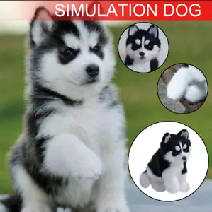 Realista Husky Perro Simulación Juguete Perro Cachorro Plazas Eléctricas Realistas Juguete de Regalo - Imagen 1 de 3