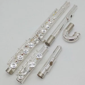 Professional Flute 212 Silver Plated Flute Instrument C Leg 16Holes Closed E Key - Picture 1 of 15
